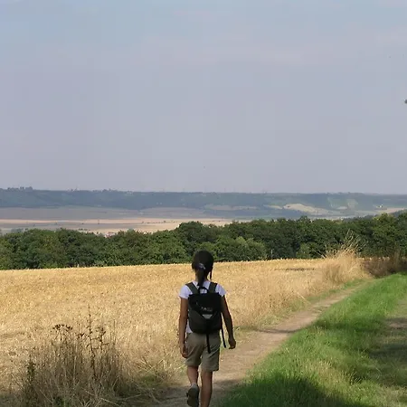 酒店 翁斯特鲁塔尔酒店 伏里堡