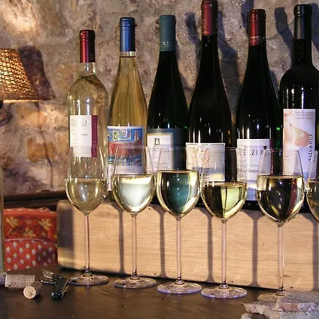 翁斯特鲁塔尔酒店 3*