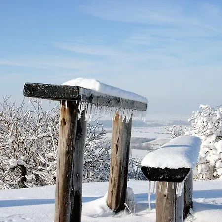 酒店 翁斯特鲁塔尔酒店
